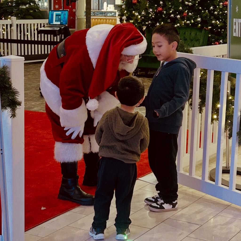 The witness of Cecilia: A reflection of this spiritual giant