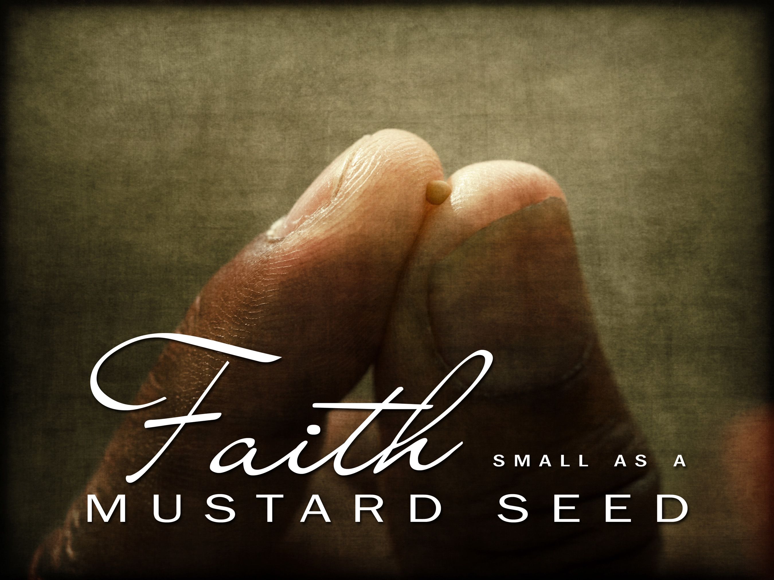 Understanding the Kingdom of God Through Mustard Seeds