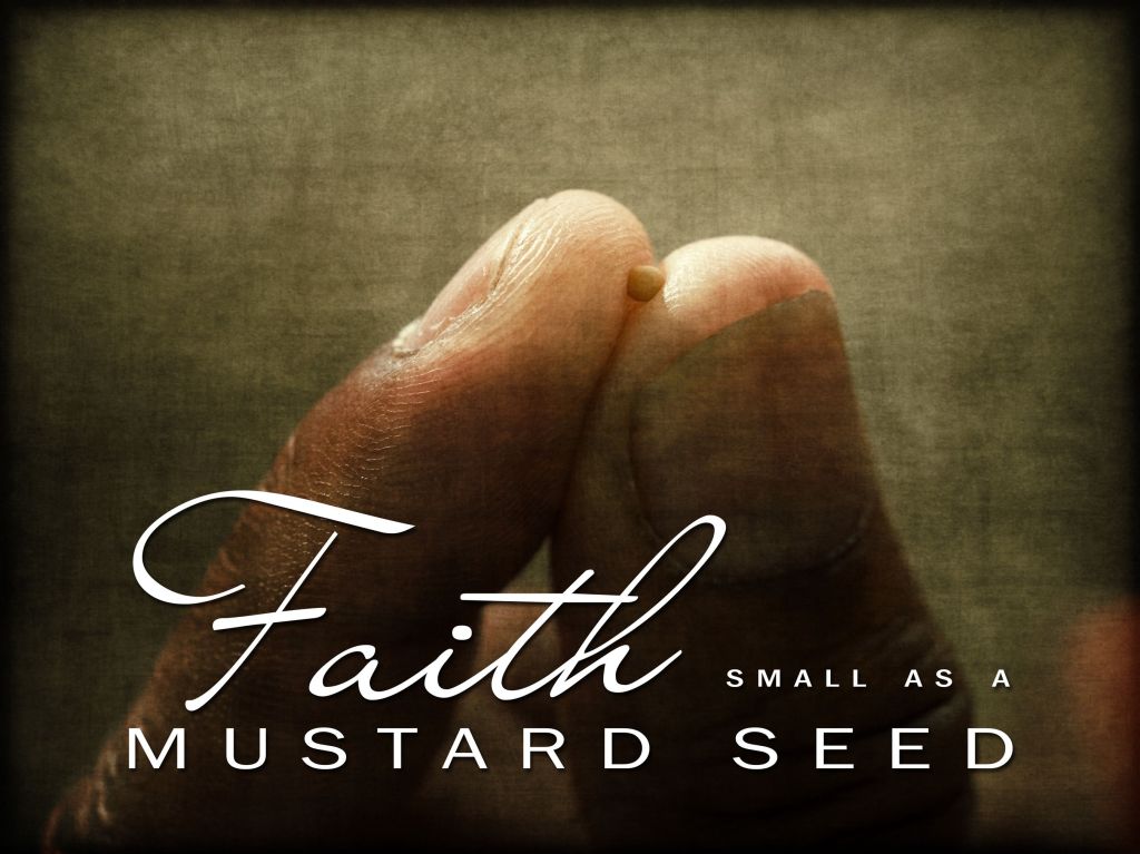 Understanding the Kingdom of God Through Mustard&nbsp;Seeds